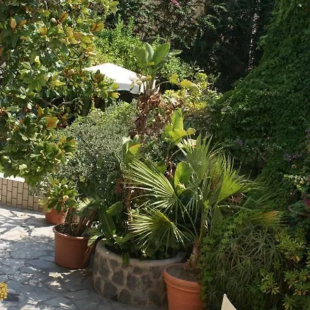 Ciccio Ischia