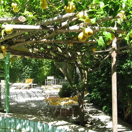 Ciccio Hotel Ischia
