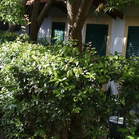 Ciccio Hotel